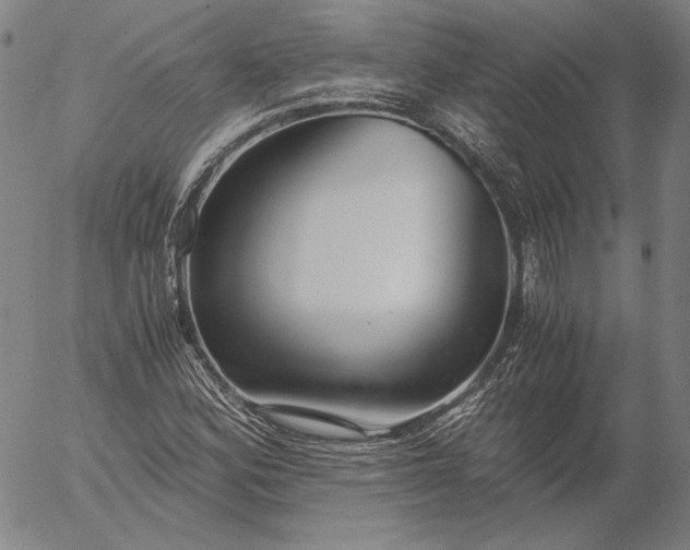 X0000056001164200509021656