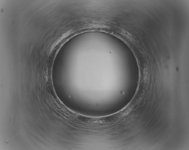 X0000056001165200509021656