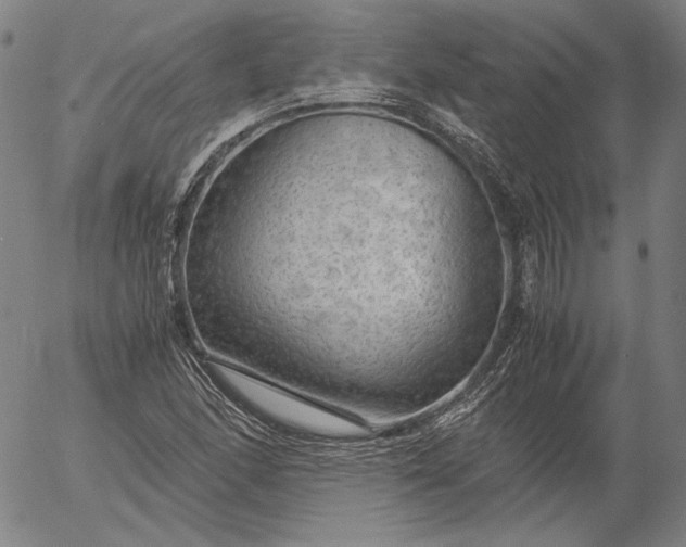 X0000056001166200509021656