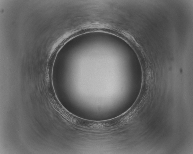 X0000056001167200509021656