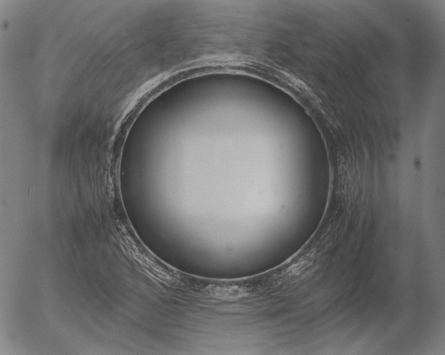 X0000056001168200509021656