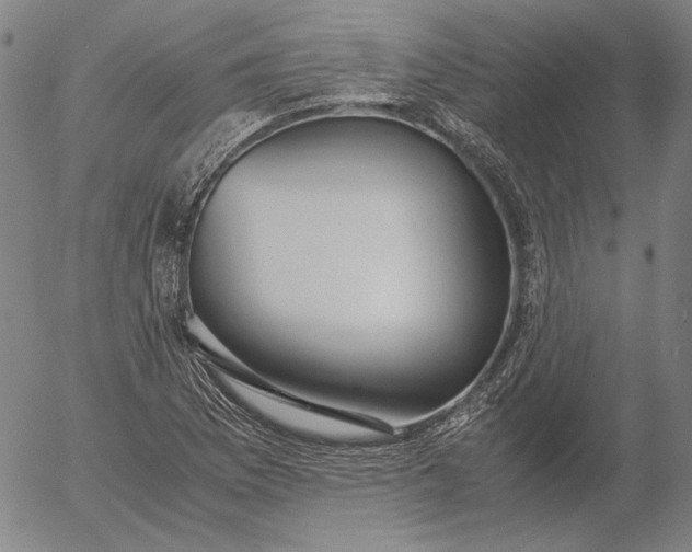 X0000056001169200509021656