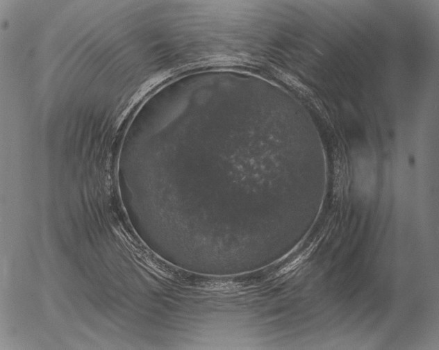 X0000056001170200509021656