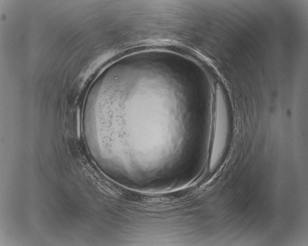 X0000056001171200509021656