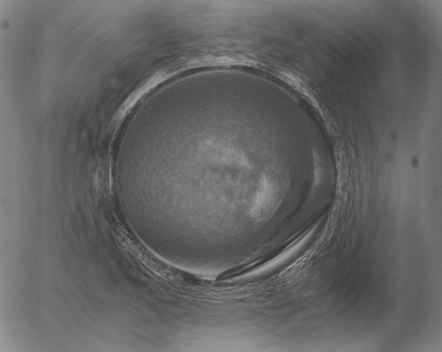 X0000056001173200509021656