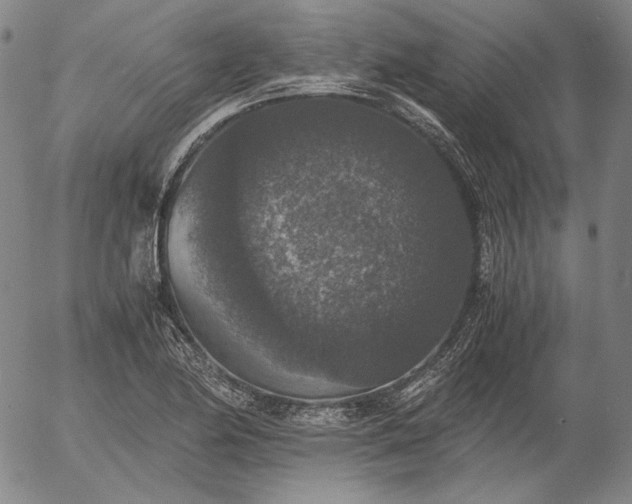 X0000056001174200509021656