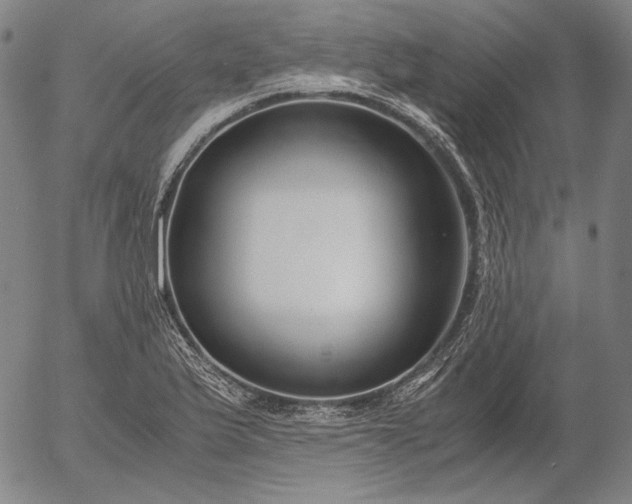 X0000056001175200509021656