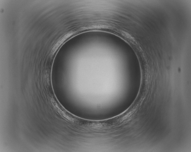 X0000056001177200509021656