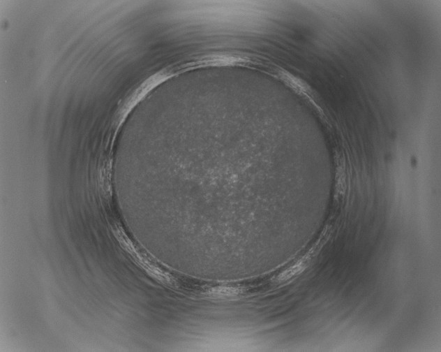 X0000056001178200509021656