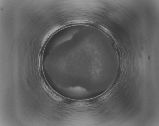 X0000056001179200509021656