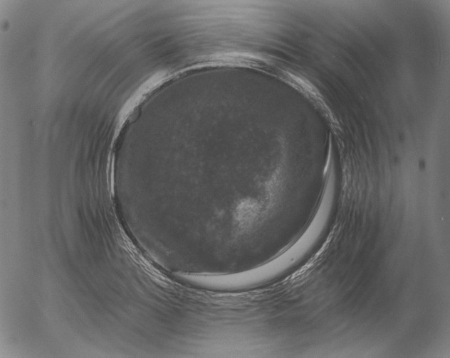 X0000056001180200509021656