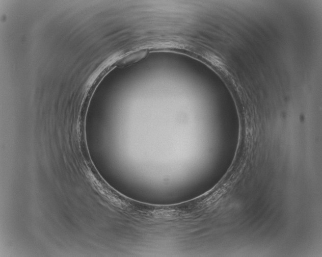 X0000056001181200509021656