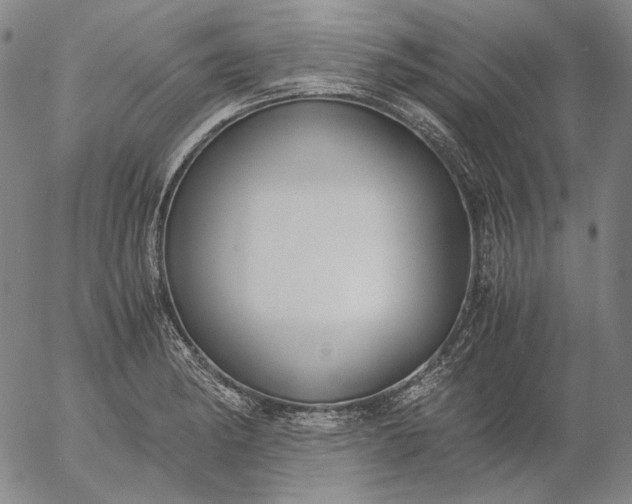 X0000056001182200509021656