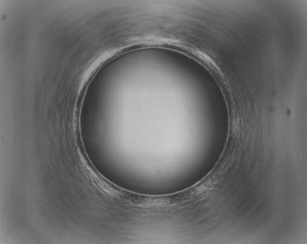 X0000056001183200509021656