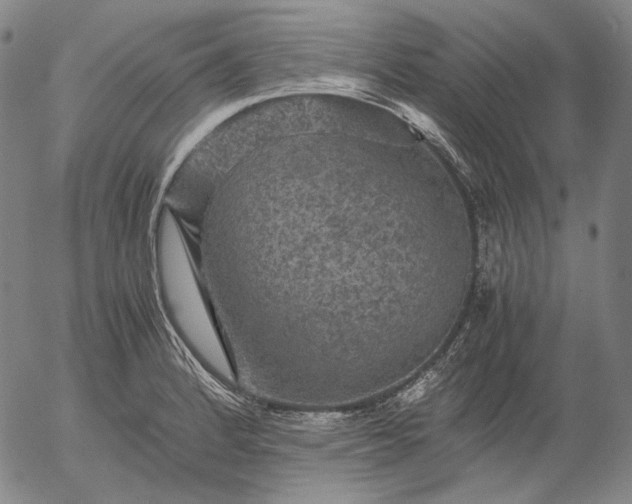 X0000056001184200509021656