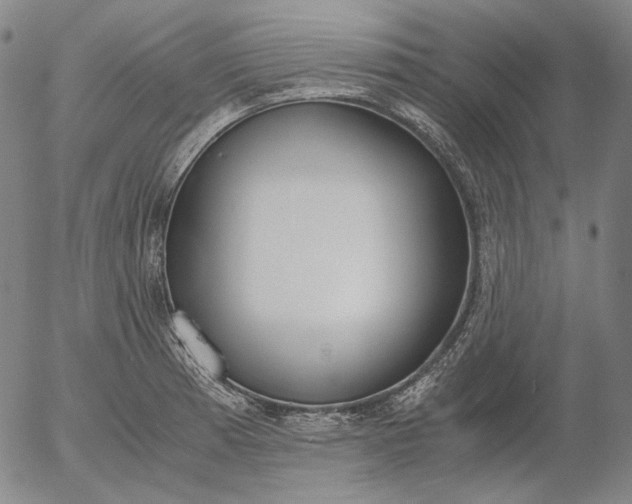 X0000056001185200509021656