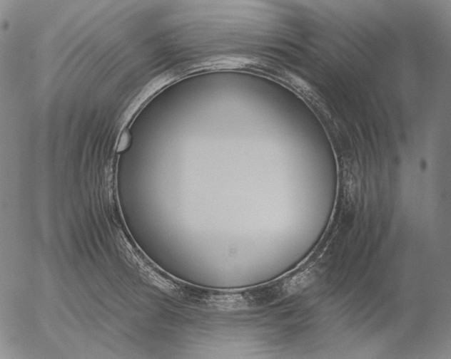 X0000056001186200509021656