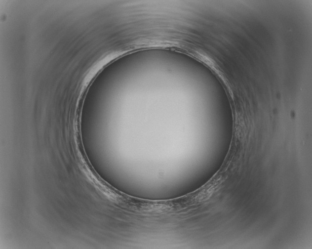 X0000056001187200509021656