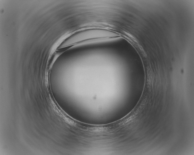 X0000056001188200509021656