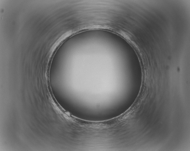 X0000056001189200509021656