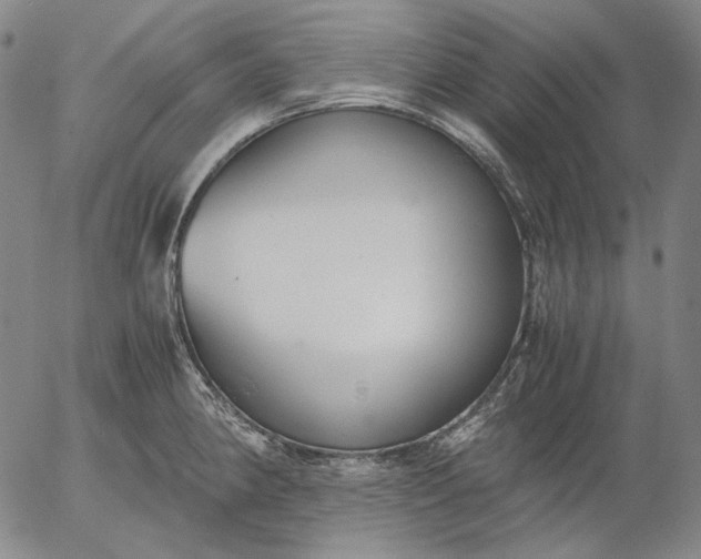 X0000056001190200509021656