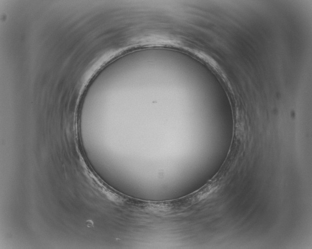 X0000056001191200509021656