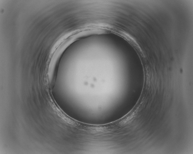 X0000056001192200509021656