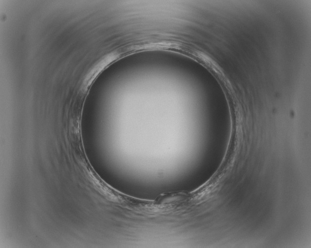 X0000056001193200509021656