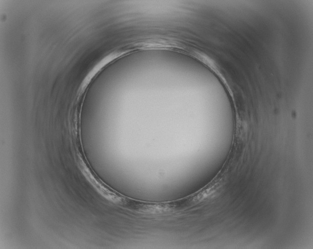 X0000056001195200509021656