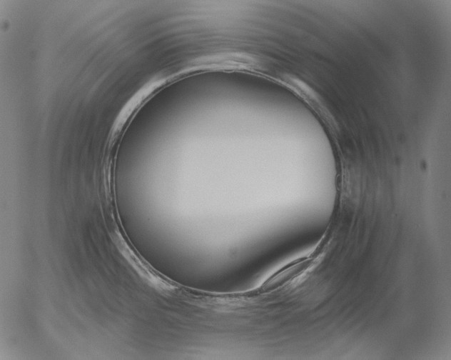 X0000056001196200509021656