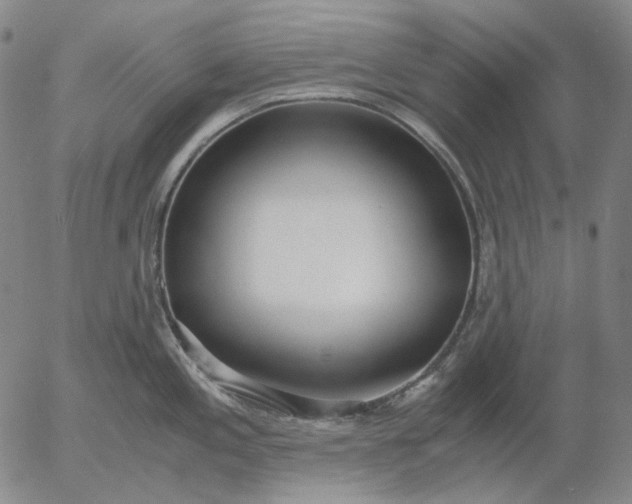 X0000056001197200509021656