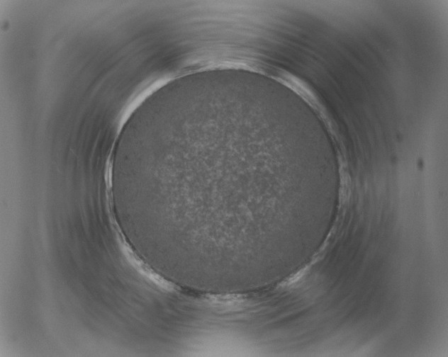 X0000056001198200509021656