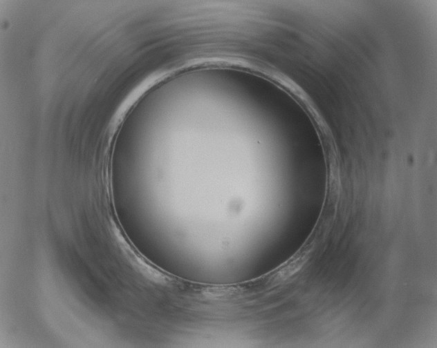 X0000056001199200509021656