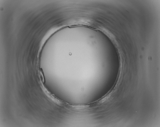 X0000056001200200509021656