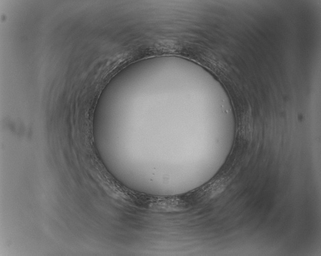 X0000056001201200509021655