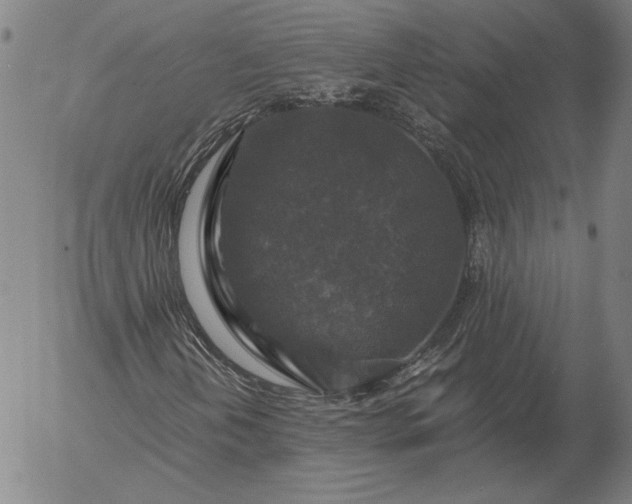 X0000056001202200509021655