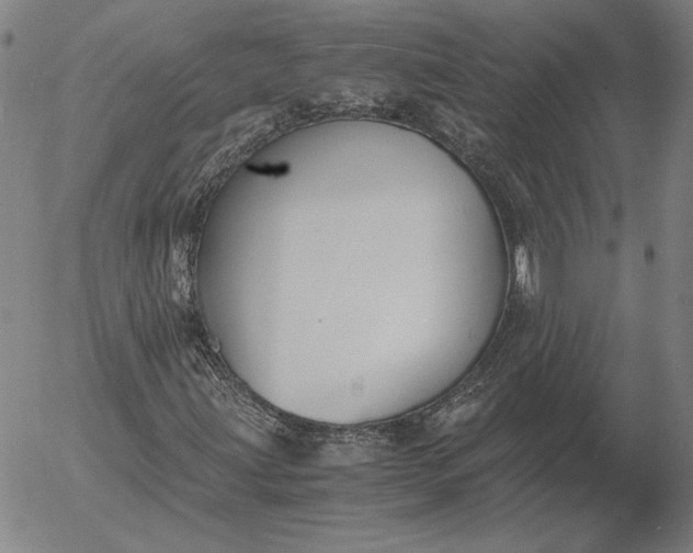 X0000056001203200509021655