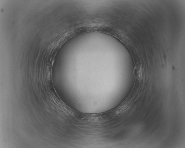 X0000056001204200509021655