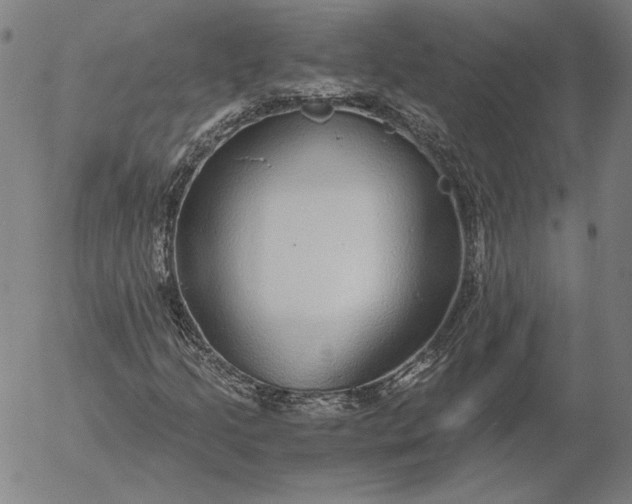 X0000056001205200509021655