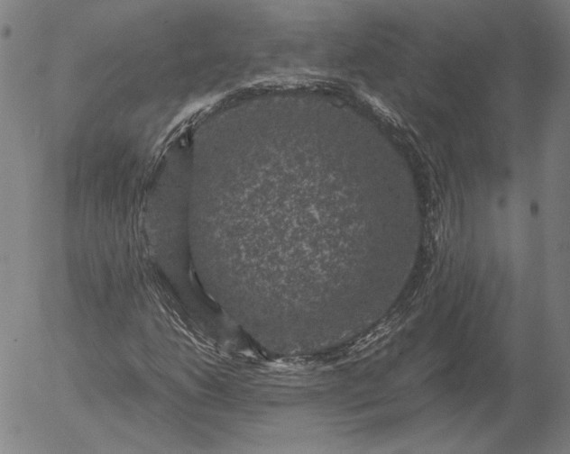 X0000056001206200509021655