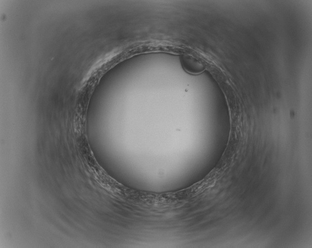 X0000056001207200509021655