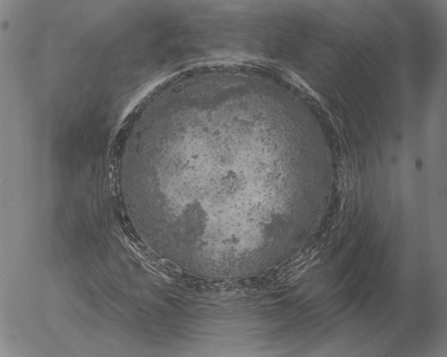 X0000056001208200509021655