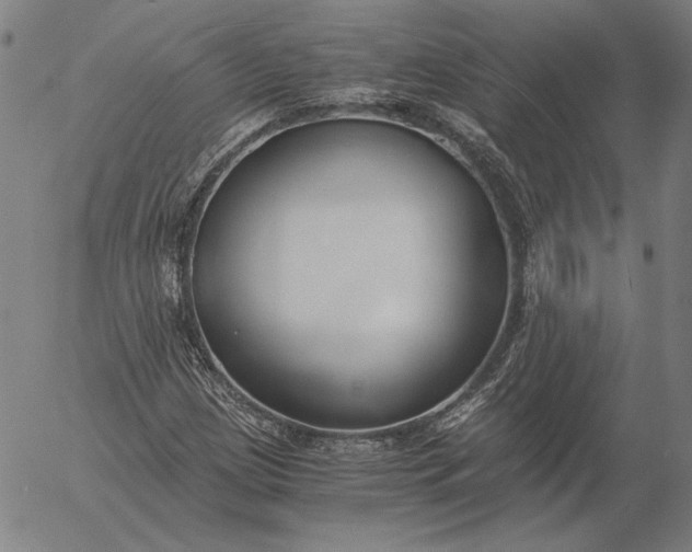 X0000056001209200509021655