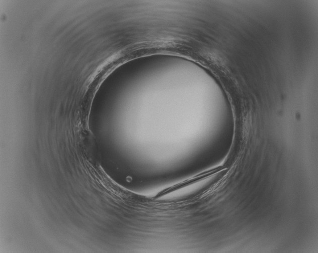 X0000056001210200509021655