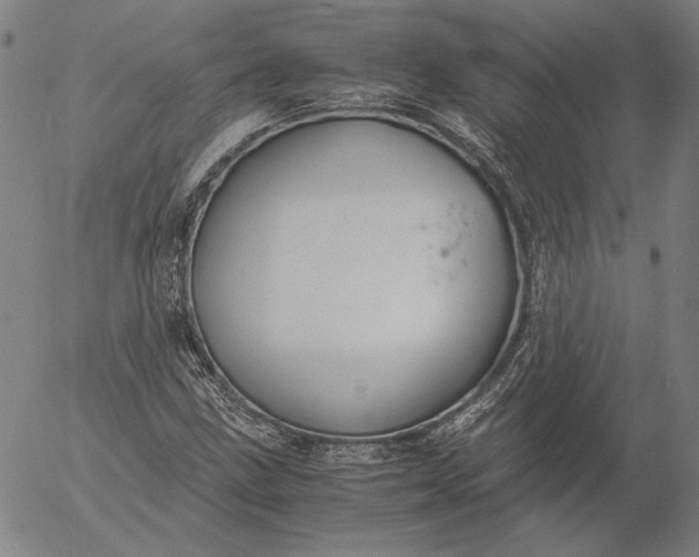 X0000056001211200509021655