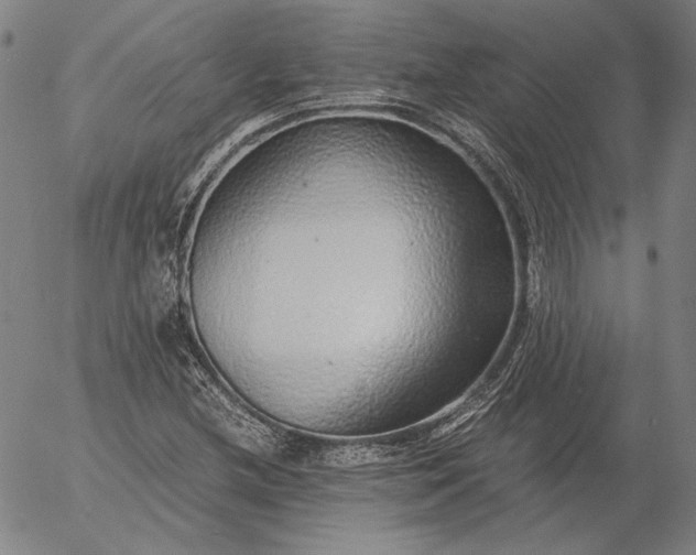 X0000056001212200509021655