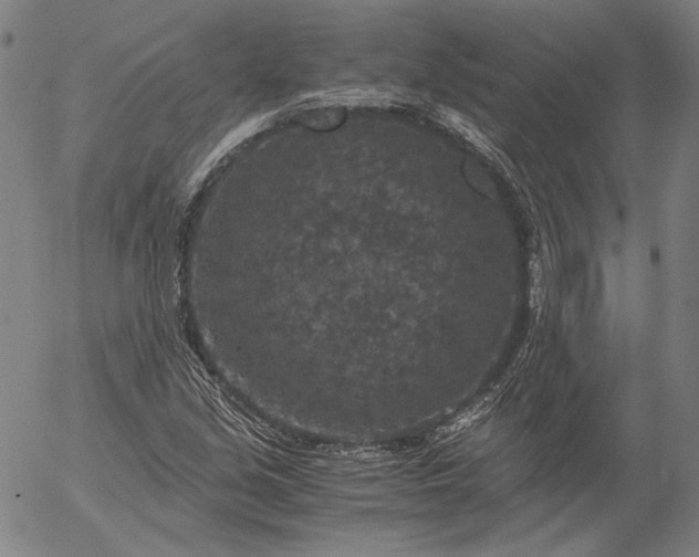 X0000056001213200509021655