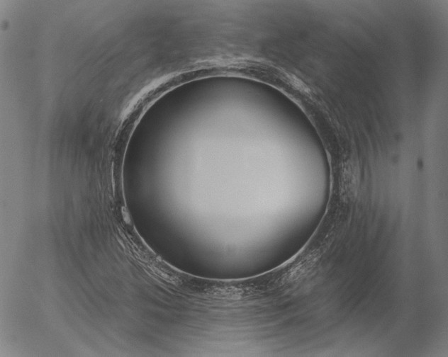 X0000056001214200509021655