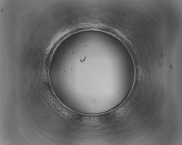 X0000056001215200509021655