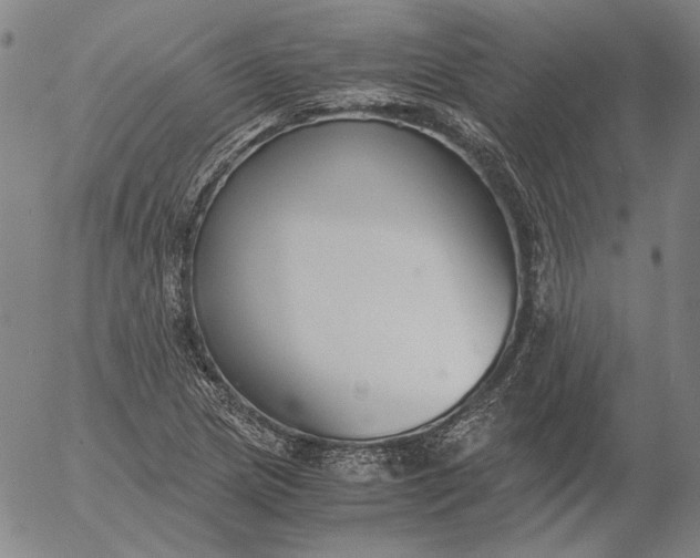 X0000056001217200509021655